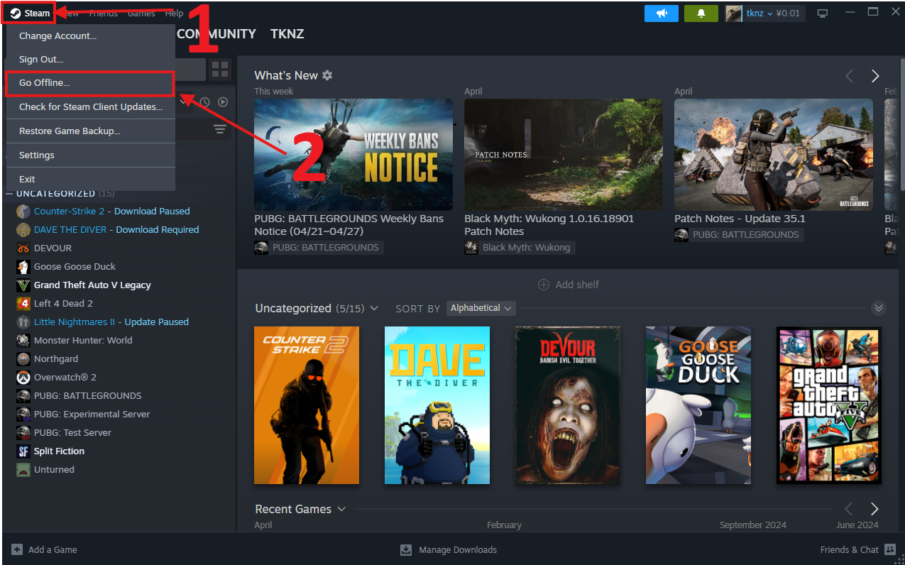 Chế độ Offline Steam