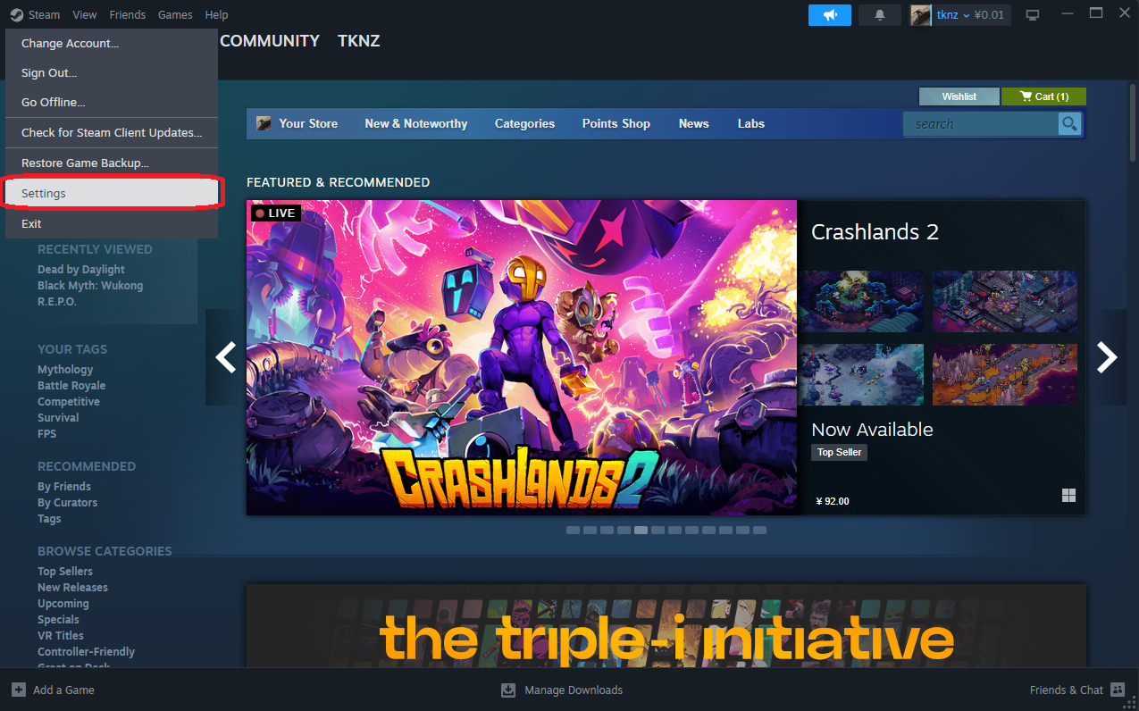 Màn hình Settings Steam